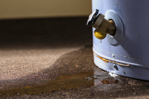 Best Flood damage cleanup  in Jackson, TN