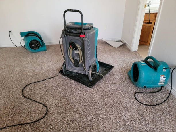 Best Emergency water damage restoration  in Jackson, TN