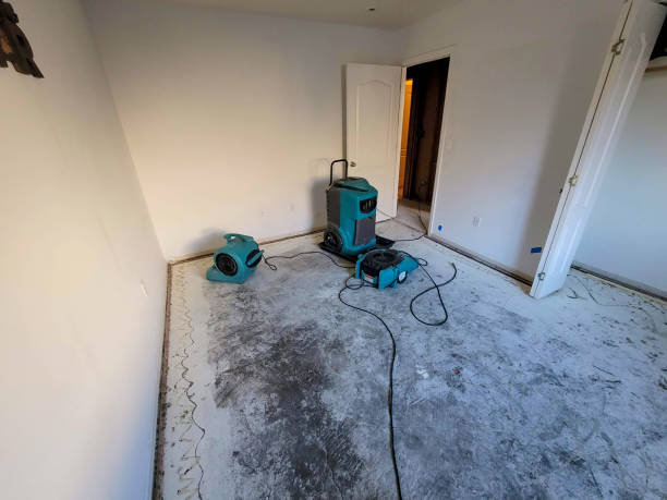 Best Water damage contractors near me  in Jackson, TN