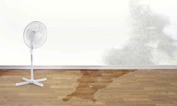 Best 24-hour water damage restoration  in Jackson, TN