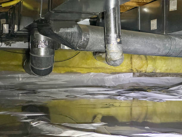 Local water damage restoration in TN