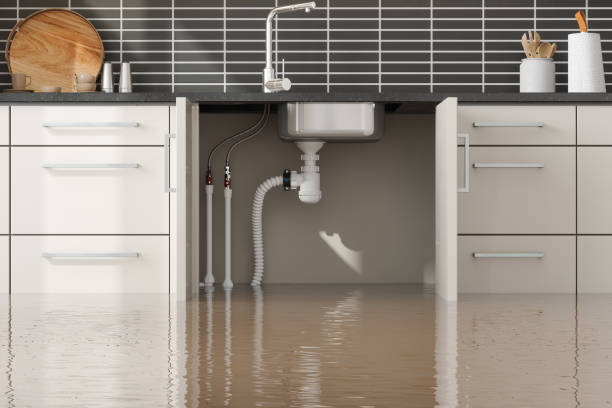 Best Local water damage restoration  in Jackson, TN