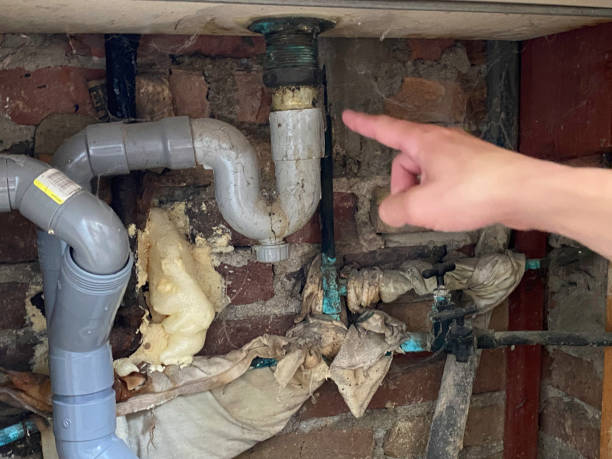 Best Commercial water damage restoration  in Jackson, TN