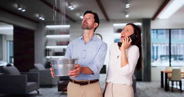 Best Professional water damage repair  in Jackson, TN