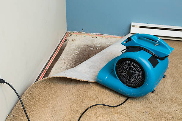 Best Flood restoration services  in Jackson, TN