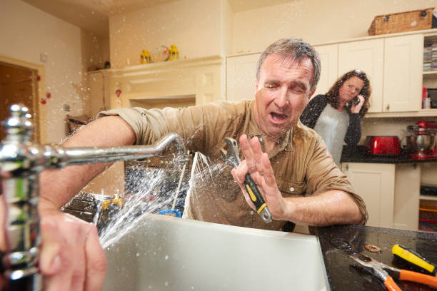Best Water damage mitigation services  in Jackson, TN